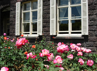 d0129295_6231321.jpg