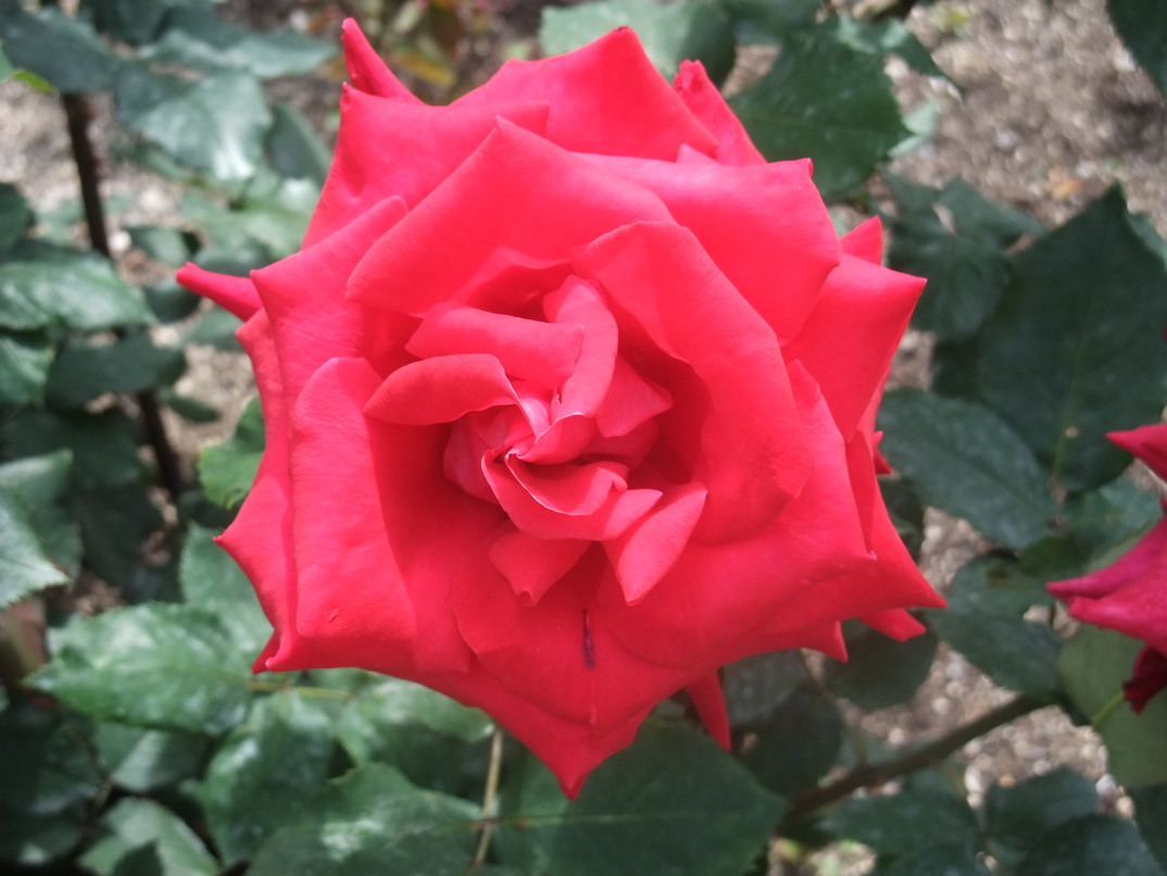 b0044296_20125463.jpg
