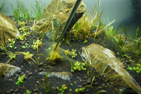 c0225297_615569.jpg