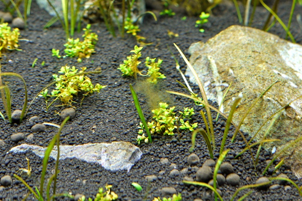 c0225297_615997.jpg