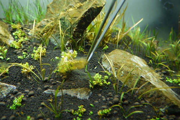 c0225297_6334686.jpg