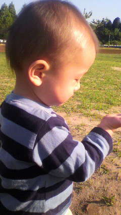 c0090100_21323783.jpg