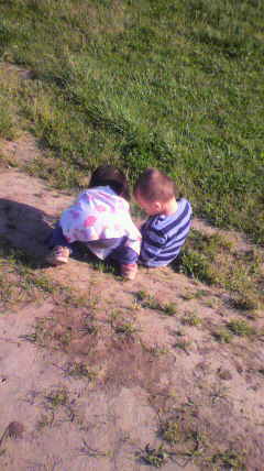 c0090100_226940.jpg