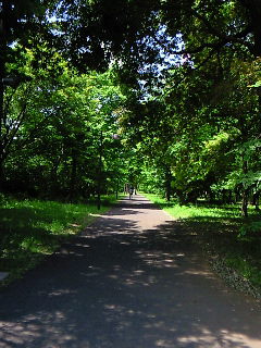 f0114900_1047030.jpg