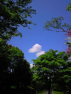 f0114900_1047082.jpg