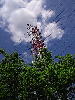 f0114900_1047084.jpg