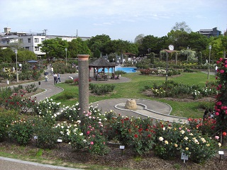 d0144402_19385166.jpg