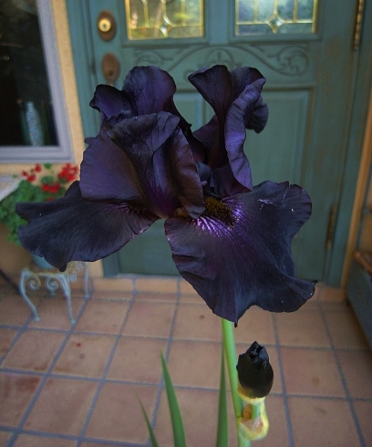 f0065604_22242921.jpg
