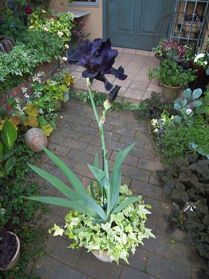 f0065604_2225724.jpg