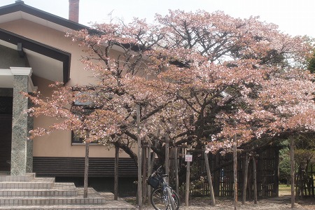c0202705_1851326.jpg