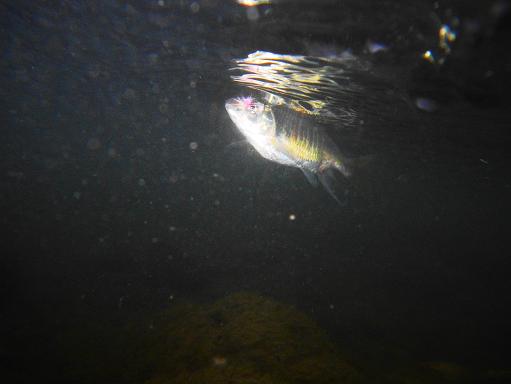 e0123808_14473919.jpg