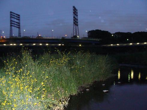 e0123808_1551377.jpg