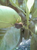 f0127408_22375913.jpg