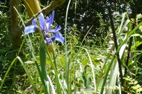 f0221708_0443835.jpg
