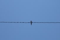 f0221708_05345100.jpg