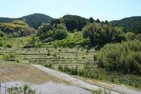 f0221708_142218.jpg