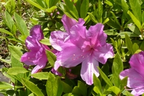 f0221708_244348.jpg