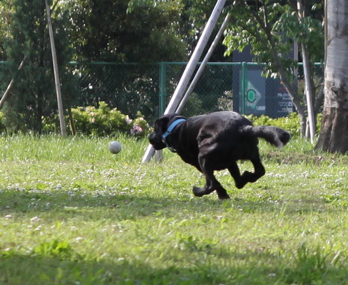c0101713_2237367.jpg