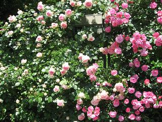 a0044916_2263952.jpg