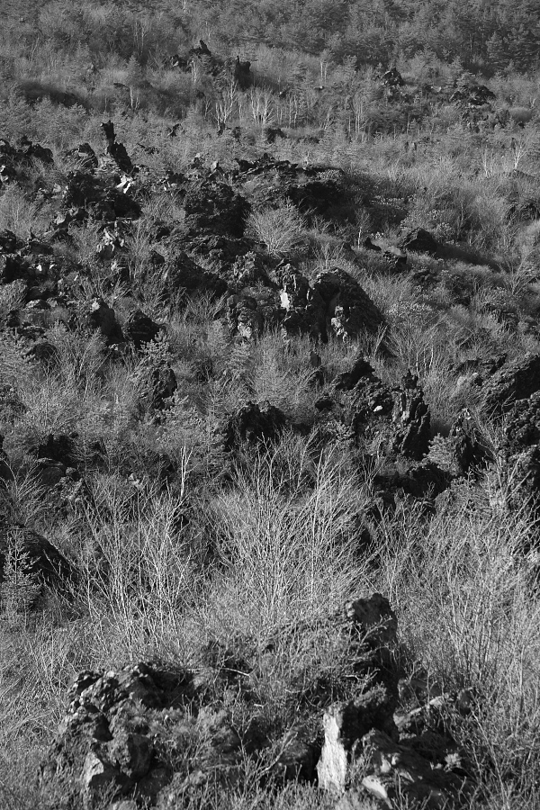 c0153616_22113697.jpg
