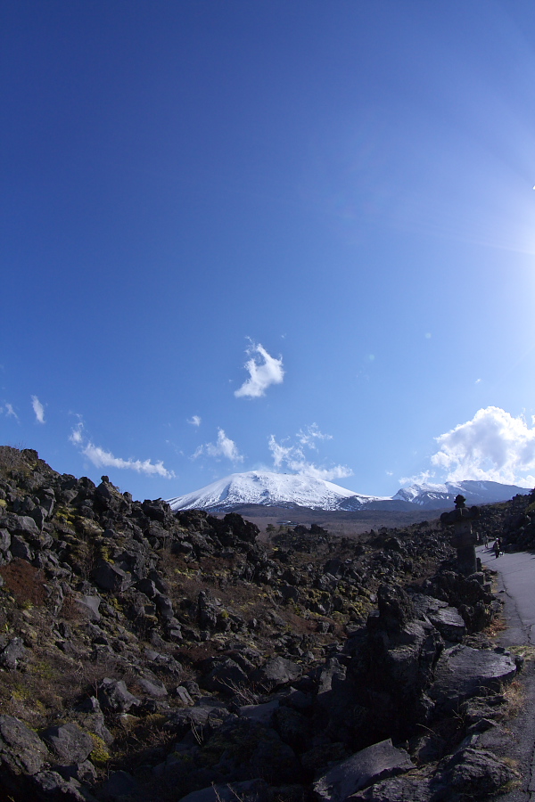 c0153616_22192654.jpg