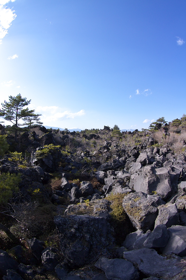 c0153616_22194420.jpg