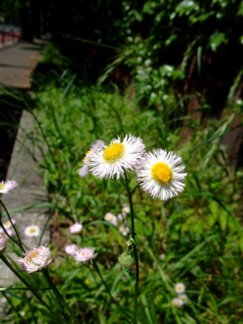 f0235919_13425363.jpg