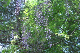 c0197220_16122617.jpg