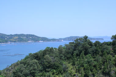 c0197220_1661382.jpg