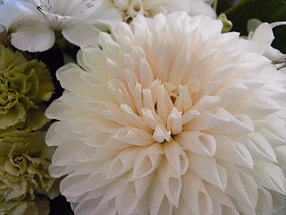 a0052621_11595389.jpg