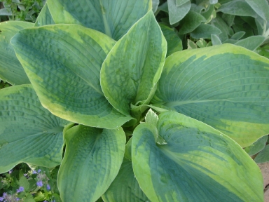 f0054421_21413644.jpg