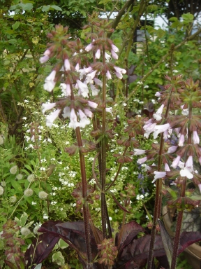 f0054421_21491611.jpg
