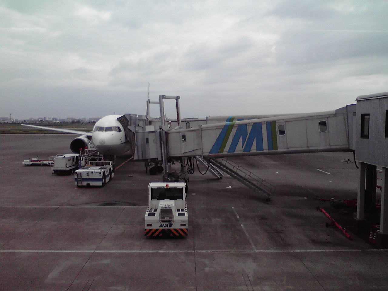 d0141922_731226.jpg