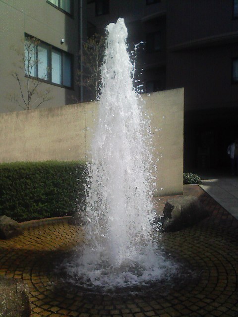 f0146625_1232316.jpg