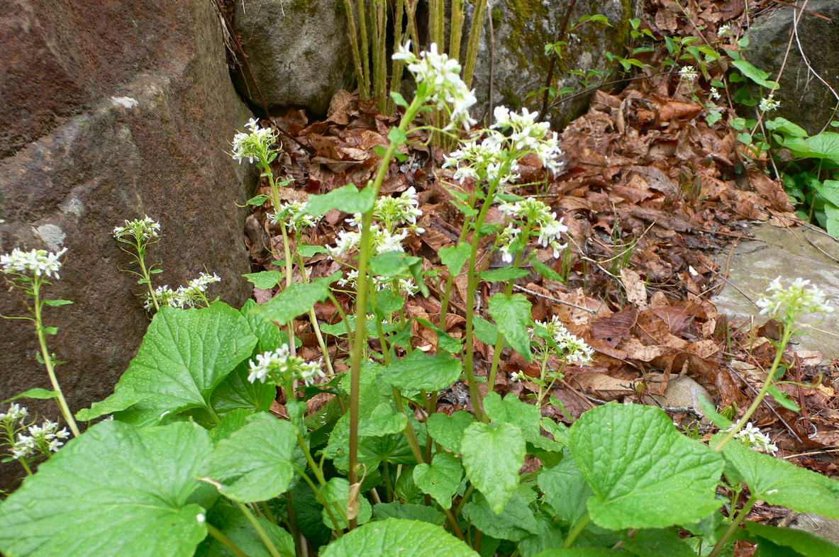 f0226226_18392310.jpg
