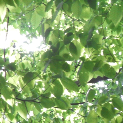 e0166127_20532186.jpg