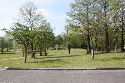 e0181928_2037515.jpg
