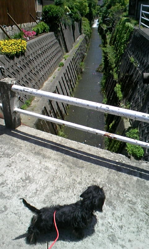 b0134529_8363820.jpg