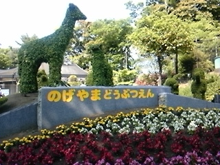b0185330_20343588.jpg
