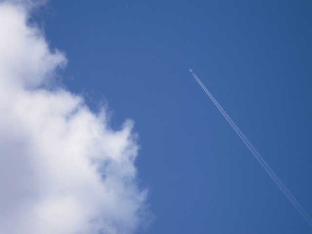 b0025633_9162448.jpg