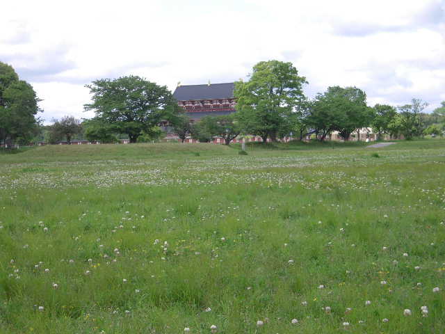 b0025633_943471.jpg