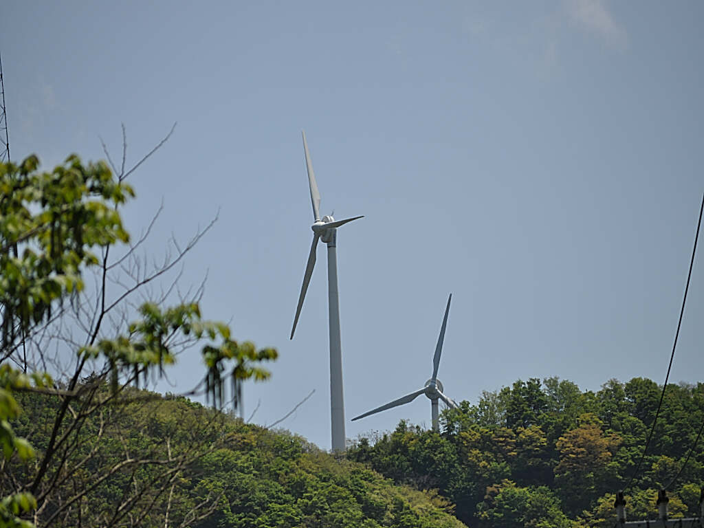 b0129533_233852.jpg