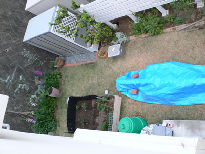 f0061334_21454532.jpg