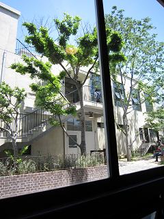 f0150936_2235279.jpg