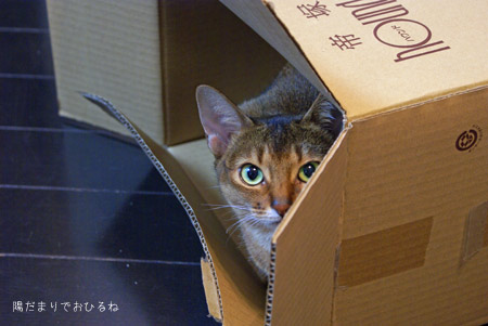 c0132438_1421340.jpg
