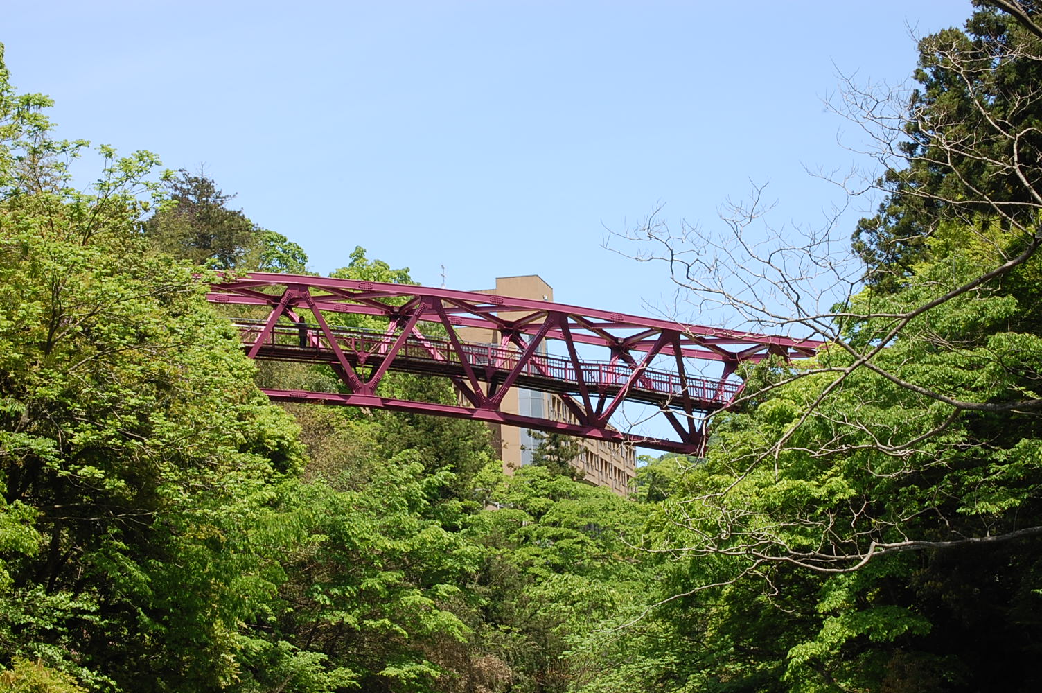 e0055138_1024190.jpg