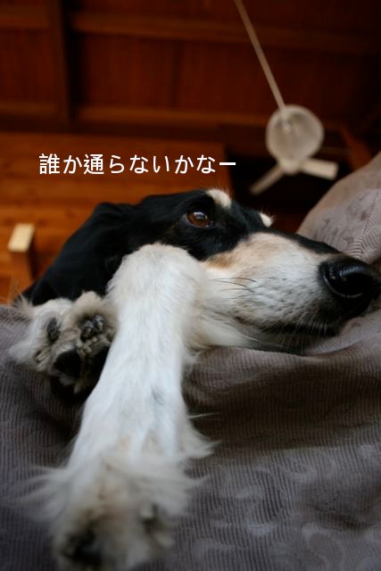 f0039538_20595178.jpg