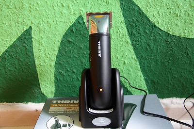 c0153740_3263156.jpg