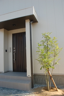 b0082242_174389.jpg