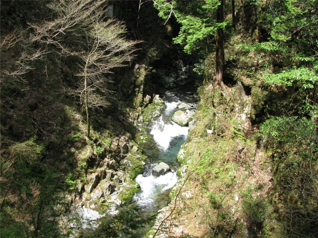 f0151044_22425638.jpg